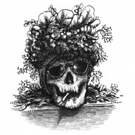 Bag of Bones